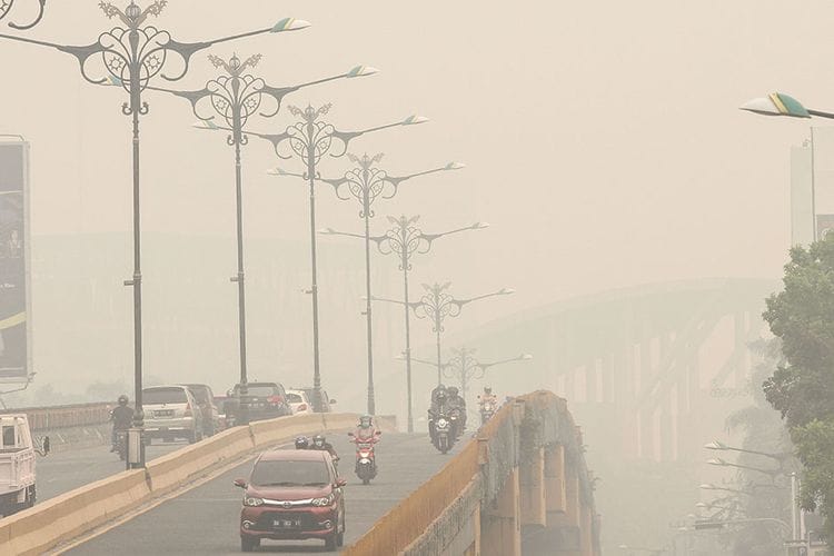 Kabut Asap Mengancam Kesehatan Warga, Ketua KNPI Riau: Karhutla ini Ada Karena Gakkum Lemah