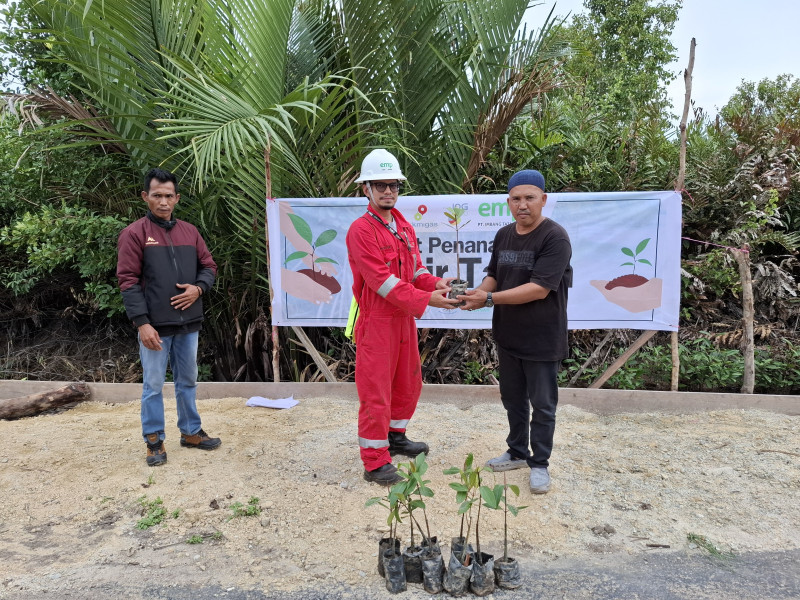 PT. ITA Gelar Giat Tanam Mangrove diakhir tahun 2024