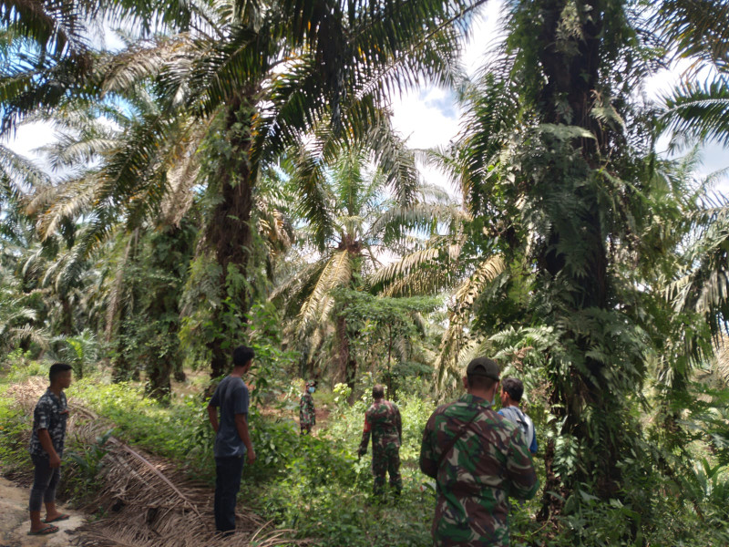 Serma Benriyadi Lakukan Giat Patroli Karhutla Dengan Warga Di Kampung Lubuk Umbut