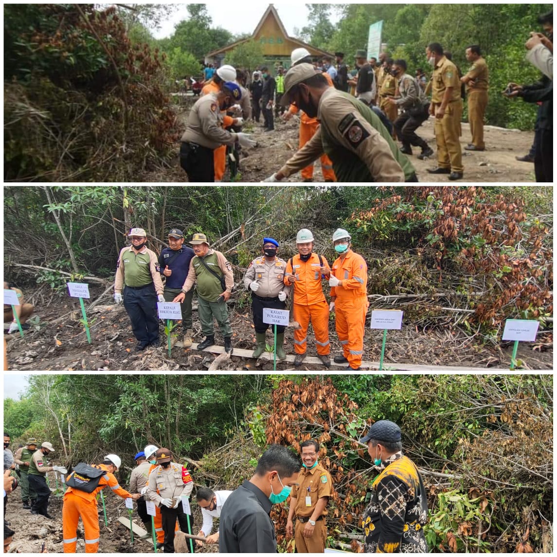 HKAN 2020 di Kampung Kayu Ara Permai, Kelompok Konservasi Laskar Mandiri Tanam Pohon Hijau
