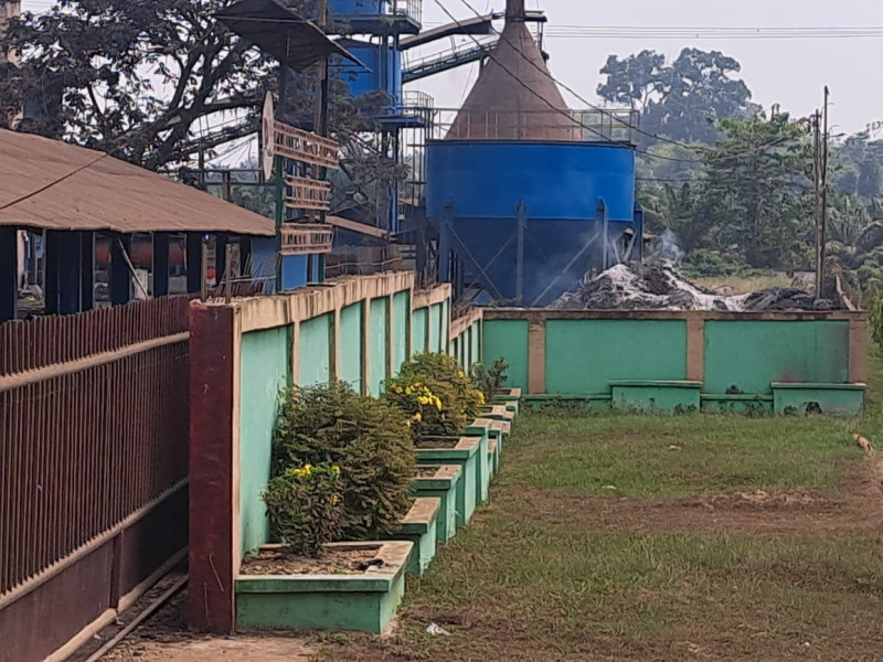 Lakukan PHK Sepihak, Disnaker Inhu Diminta Tindak Tegas PT Mas