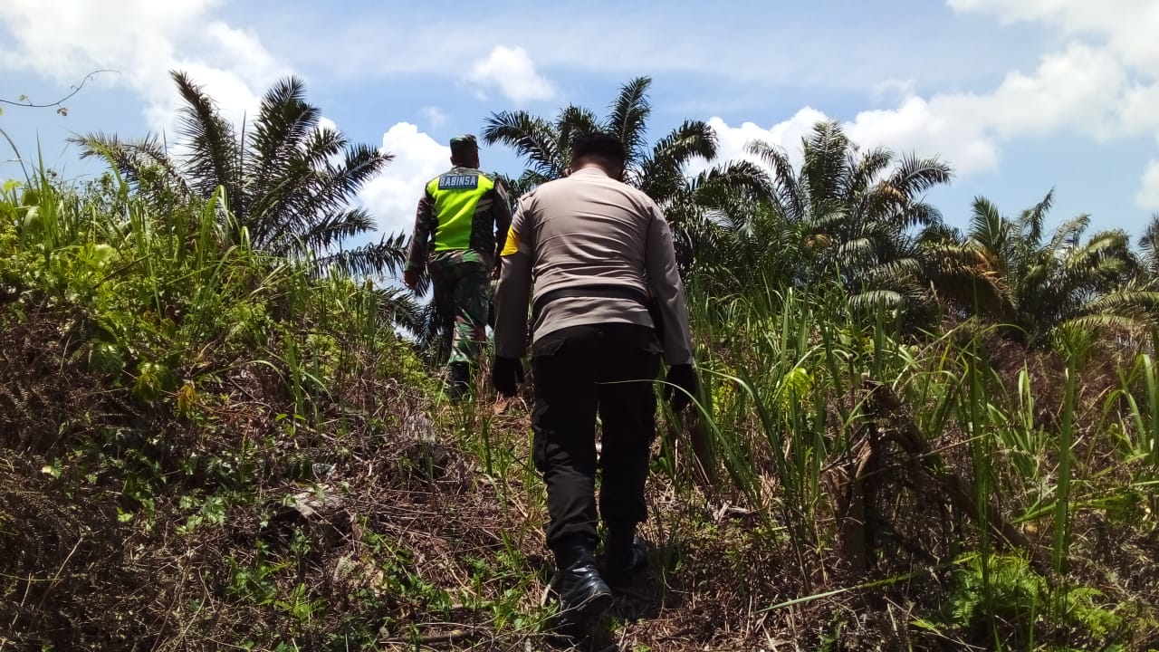 Babinsa Kelurahan Minas Jaya Ini Lakukan Patroli & Sosialisasi Untuk Cegah Terjadinya Karhutla