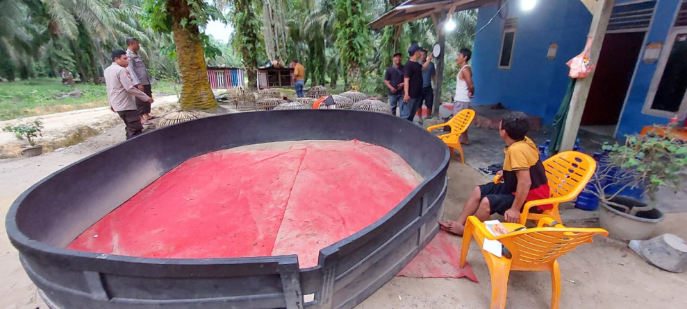 Nekat Beroperasi Saat Bulan Ramadhan, Polsek Koto Gasib Grebek Arena Judi Sabung Ayam 