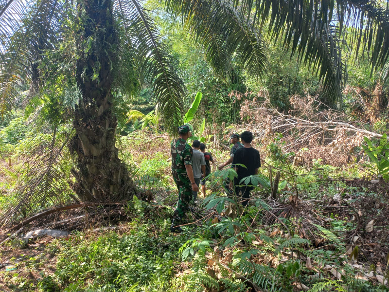 Kali Ini Giliran Sertu Sarju & Koptu Togi S Ajak Warga Giat Penanggulangan Karhutla Dengan Berpatroli di Wilayah Kampung Tualang