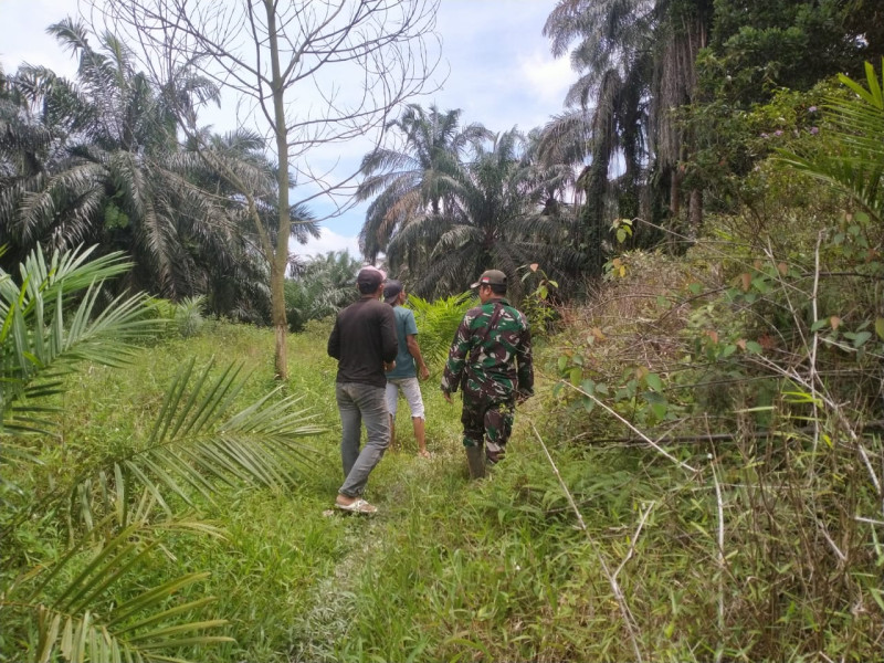 Nihil Titik Api, Babinsa Koramil Perawang Intensifkan Patroli Karhutla di Kampung Tasik Seminai