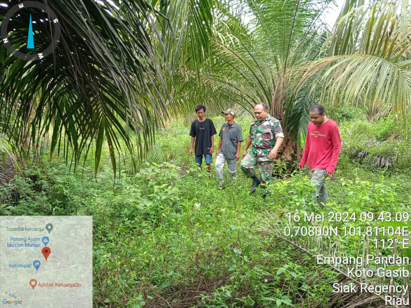 Babinsa Pelda Syafri, Ajak Warga Binaan Patroli Gabungan Rutin Untuk Antisipasi Karhutla di Empang Pandan