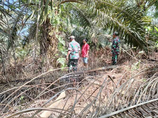 Bersama Masyarakat Binaannya di Minas Jaya Serma Muhajir Giat Patroli Karhutla Serta Cek Kanal