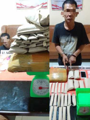 Pengedar Narkoba Daun Ganja Kering di Ringkus Satnarkoba Polres Kampar di Desa Pulau Gadang