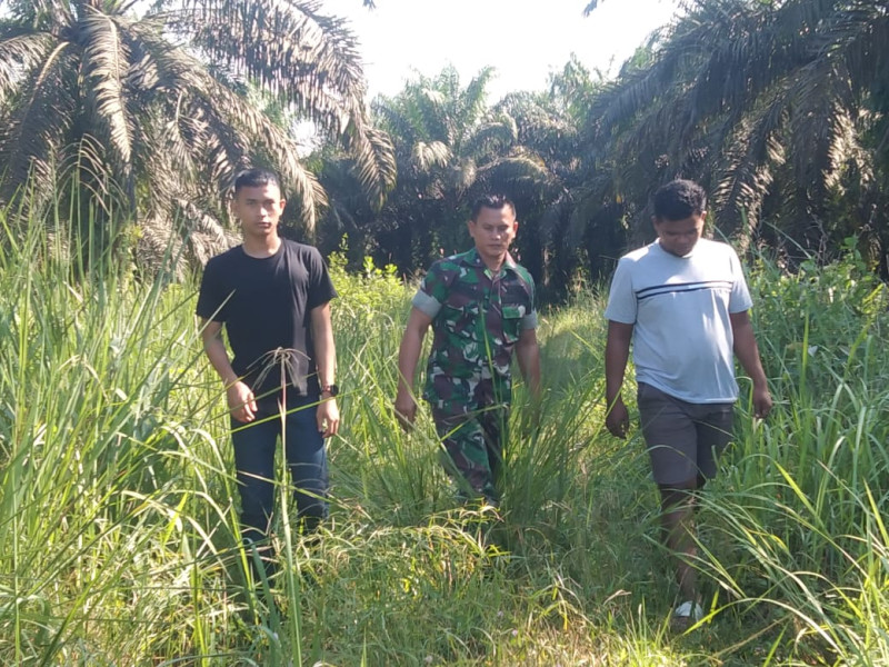 Koptu Togi Sitorus & Warga Binaan Patroli Gabungan Antisipasi Karhutla Secara Rutin di Wilayah Kampung Perawang Barat