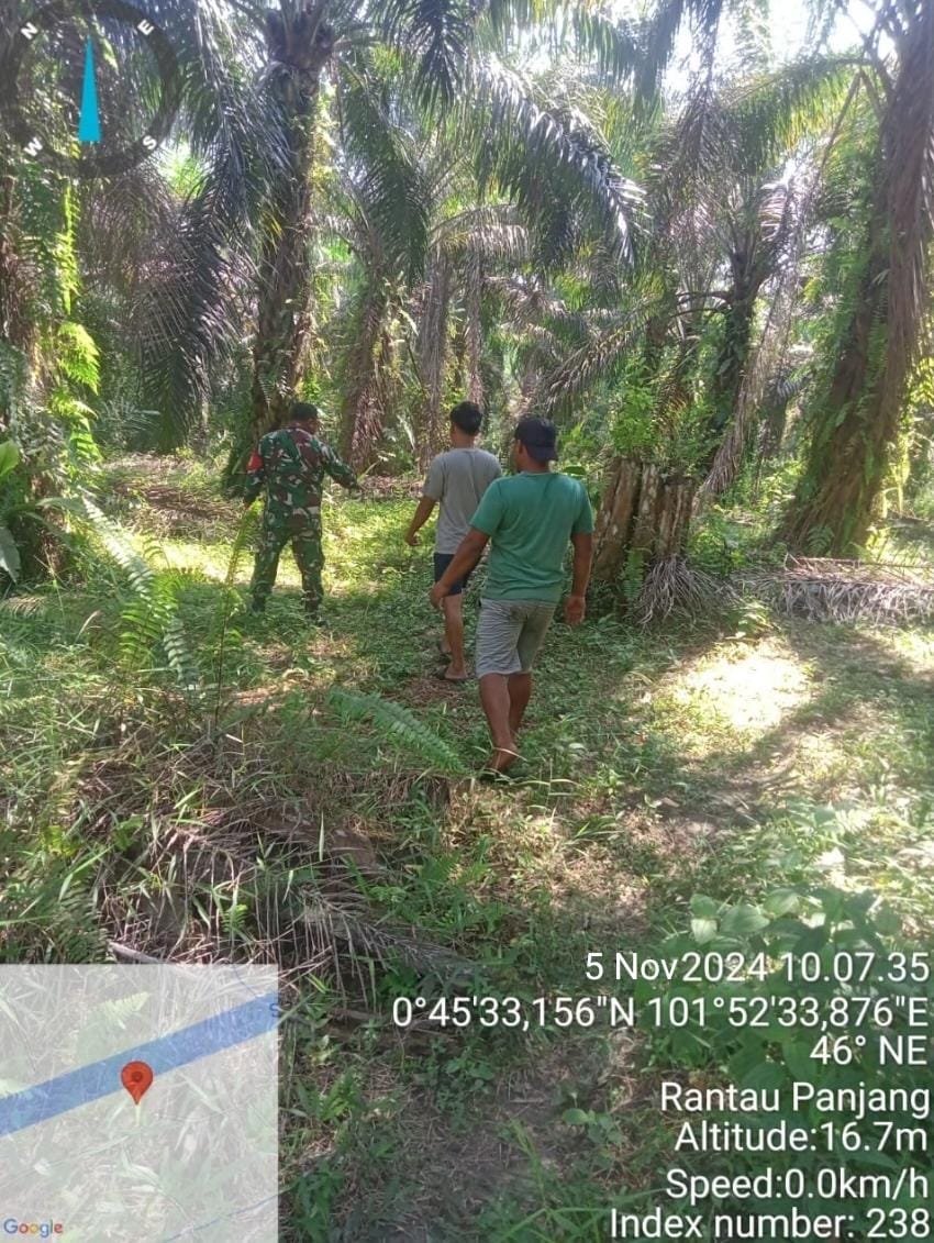 Babinsa Koramil 04/Perawang Patroli Pencegahan Karhutla di Kampung Rantau Panjang