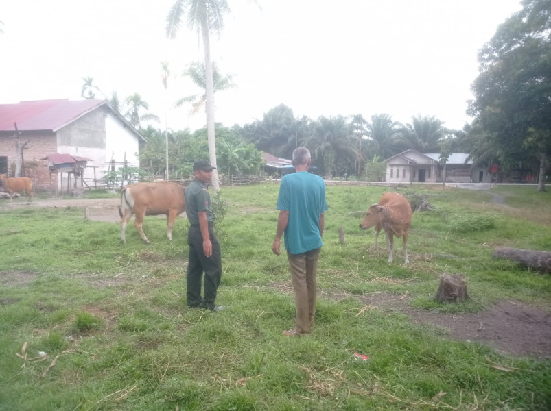 Kopda L Sigalingging Sosialisasi Serta Giat Pendampingan Antisipasi PMK Bersama Tim URC di Kuala Gasib