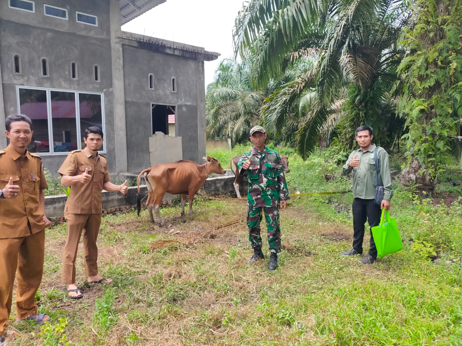 Bersama Tim Stakeholder, Sertu Joko Purnomo Lakukan Pendampingan Vaksinasi Hewan Ternak Sapi dan Kambing di Muara Bungkal 