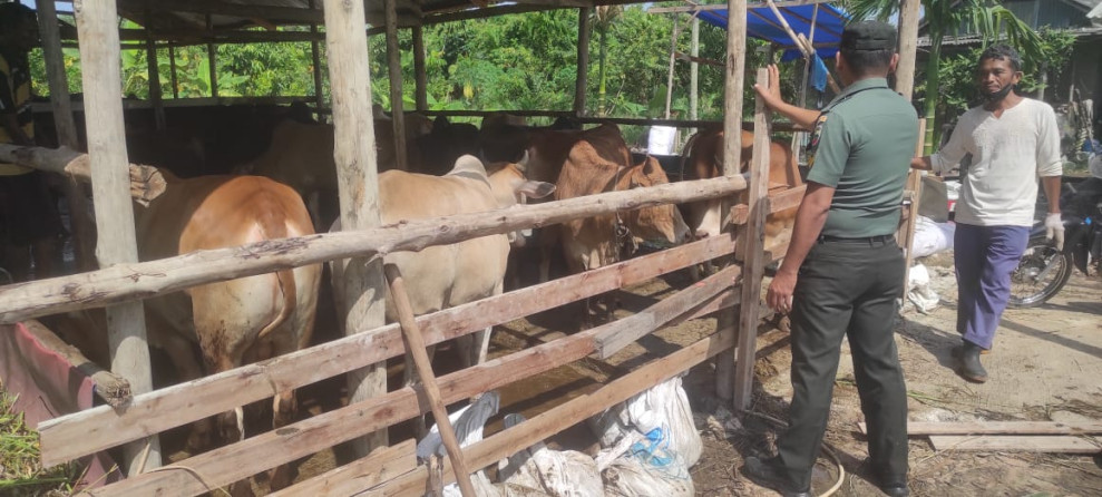 Babinsa Koramil 04/Perawang Serka Alexander. S Giat Surveilence di Kampung Pinang Sebatang Timur Antisipasi PMK Hewan Ternak 