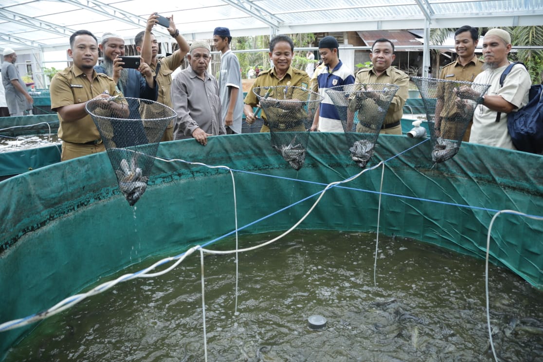 Bupati Rohul Panen Raya Ikan Lele Dengan Sistim Bioflok Di Pondok Pesanteren Manhajusalikin