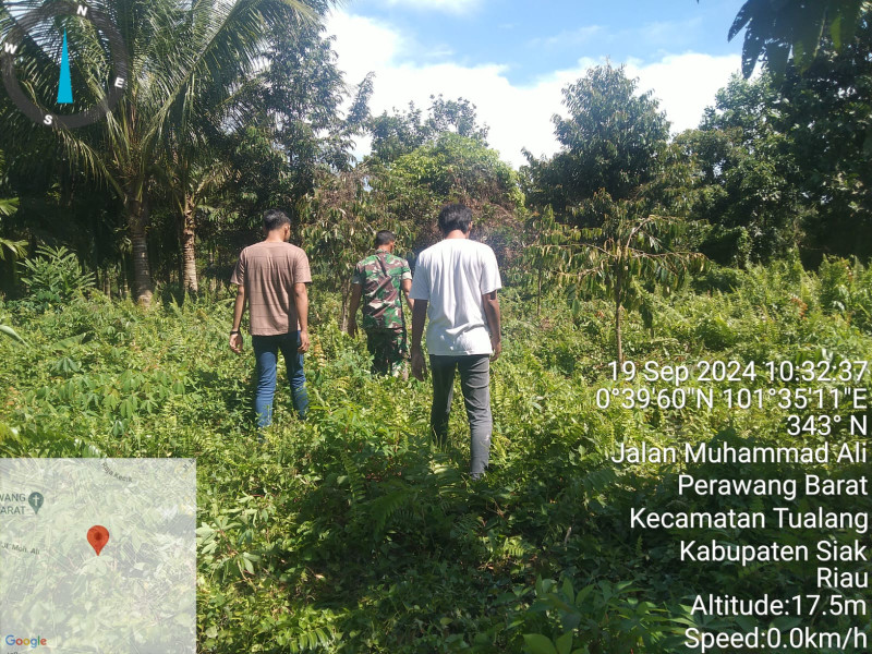 Babinsa Koramil 04/Perawang dan MPA Intensifkan Patroli Cegah Karhutla di Kampung Perawang Barat