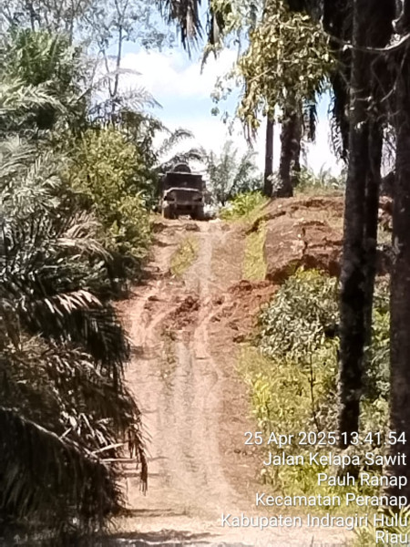 Skandal di Perkebunan Sawit Inhu: Dugaan Kongkalikong SM PT Rigunas dan Kades Semelinang Tebing Terbongkar!
