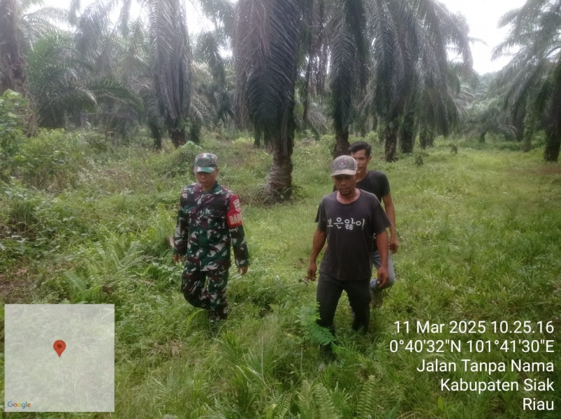 Patroli Karlahut di Wilayah Koramil 04/Perawang: Tidak Ditemukan Titik Api dan Asap