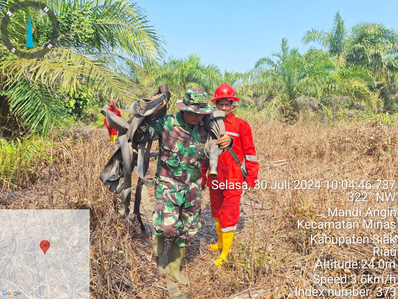 Serka Gopardin Berjibaku Menangani Karhutla Di Kampung Mandiangin Bersama Dengan Tim