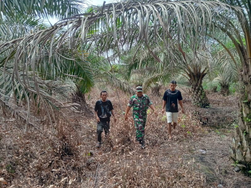 Ajak Warga Pangkalan Pisang, Pelda Syafri Aktif Patroli Guna Antisipasi Karhutla
