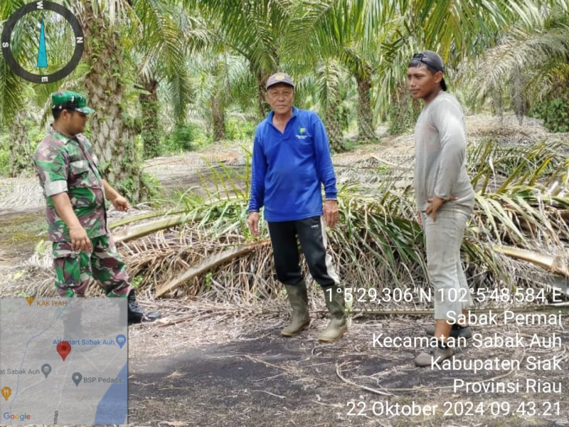 Patroli Karhutla Koramil 06/PWK Sabak Auh: Pantau Titik Api di Sabak Permai