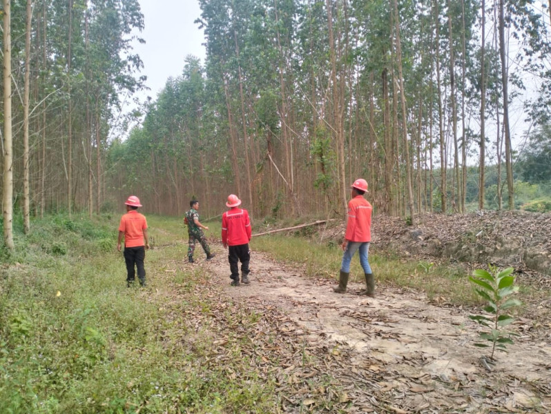 Serda H Pasaribu Bersama Warga Muara Kelantan & Tim, Lakukan Kegiatan Patroli Bertujuan Untuk Antisipasi Karhutla Serda H Pasaribu Bersama Warga Muara Kelantan & Tim, Lakukan Kegiatan Patroli Bertujuan Untuk Antisipasi Karhutla