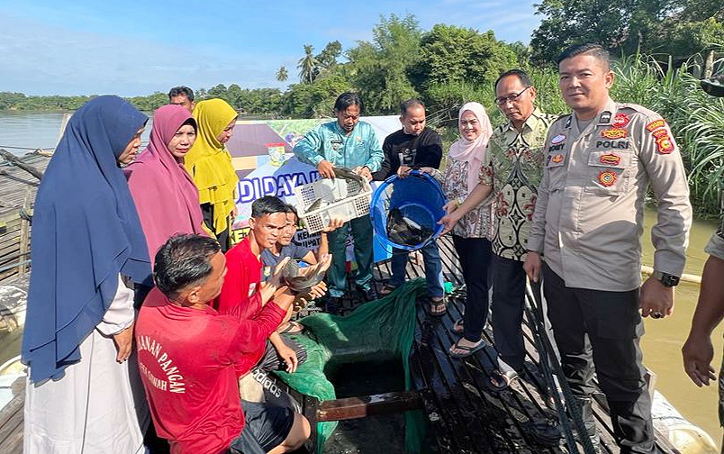 Desa Sawah Kembali Lakukan Panen dan Pendistribusian Ikan Tahap II