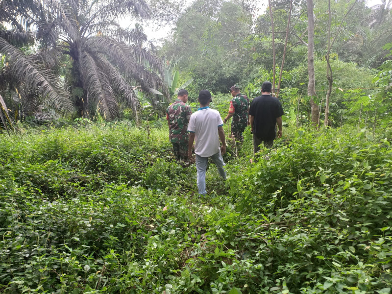 Beserta Tim, Serka Afrisal dan Koptu Togi Sitorus Lakukan Giat Patroli Cegah Kebakaran Hutan Serta Lahan di Perawang Barat