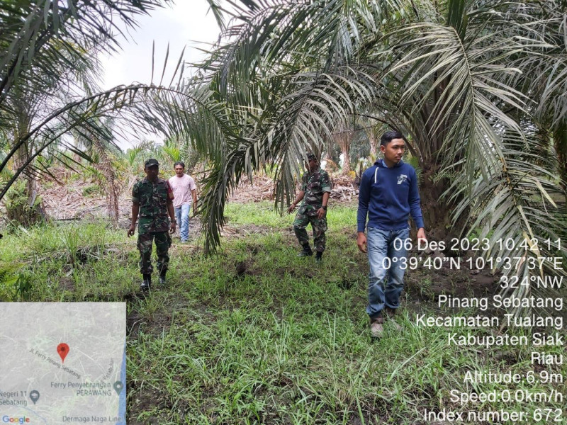 Bersama Warga Pinang Sebatang, Babinsa Koramil 04/Perawang Lakukan Penanggulangan Karhutla Dengan Cara Berpatroli