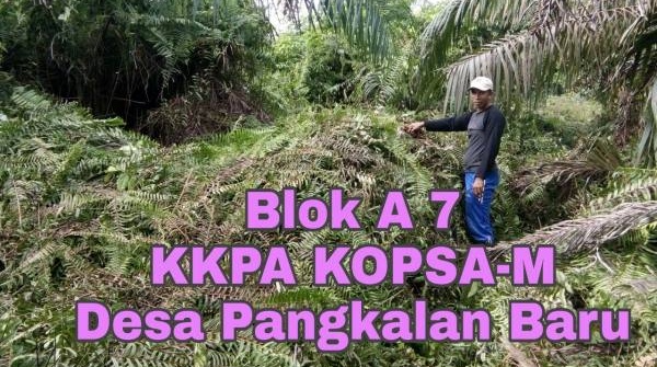 Inlaning Minta Kajati Riau Naikkan Laporan Dugaan Korupsi Dana KKPA ke Penyelidikan