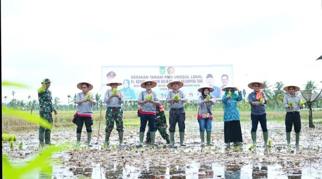 Pj Bupati Inhil H. Herman Panen Raya Padi Unggul Lokal Di Desa Sanglar Reteh