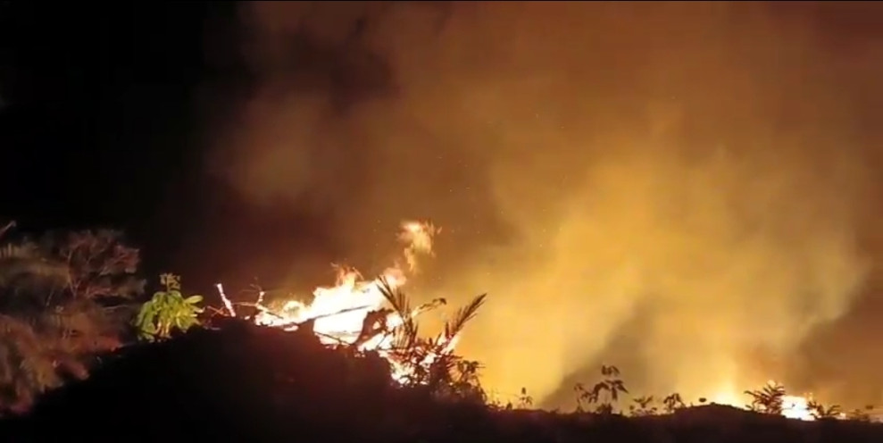 Lahan Yang Telah Distaking Milik Kepala Desa Seberida Terbakar di Desa Usul