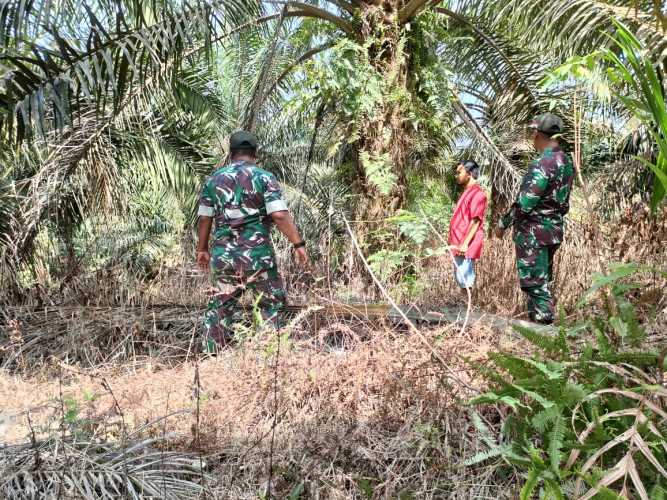 Serma Muhajir Ajak Masyarakat Binaannya di Kelurahan Minas Jaya Patroli Karhutla Dan Cek Kanal