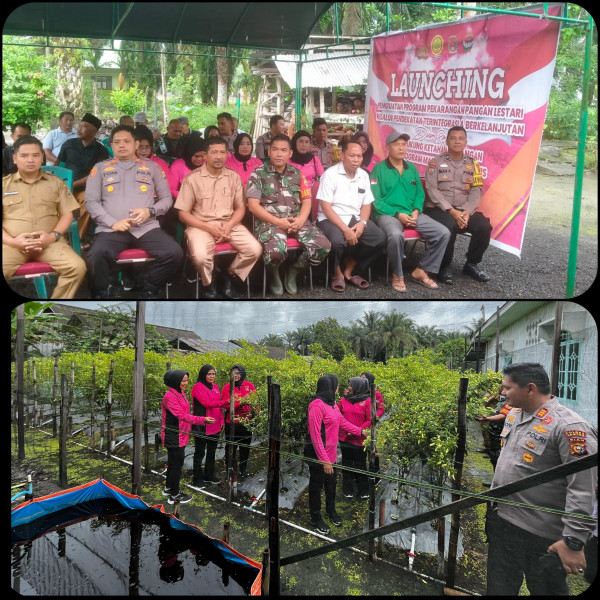 Polsek Tapung Hilir Dukung Program Pekarangan Pangan Lestari, Dorong Kemandirian Pangan di Desa Tapung Makmur!