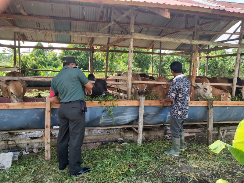 Serda Deddy H Babinsa Koramil 04/Perwang Giat Surveilence Bersama Tim di Kampung Teluk Rimba