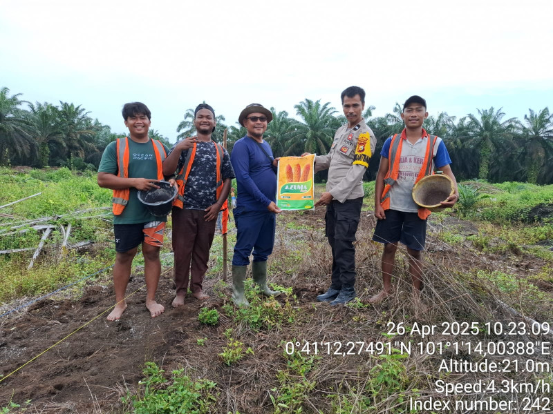 Bhabinkamtibmas Dukung Program Ketahanan Pangan, Tanam Jagung di Areal PT Bara Induk!