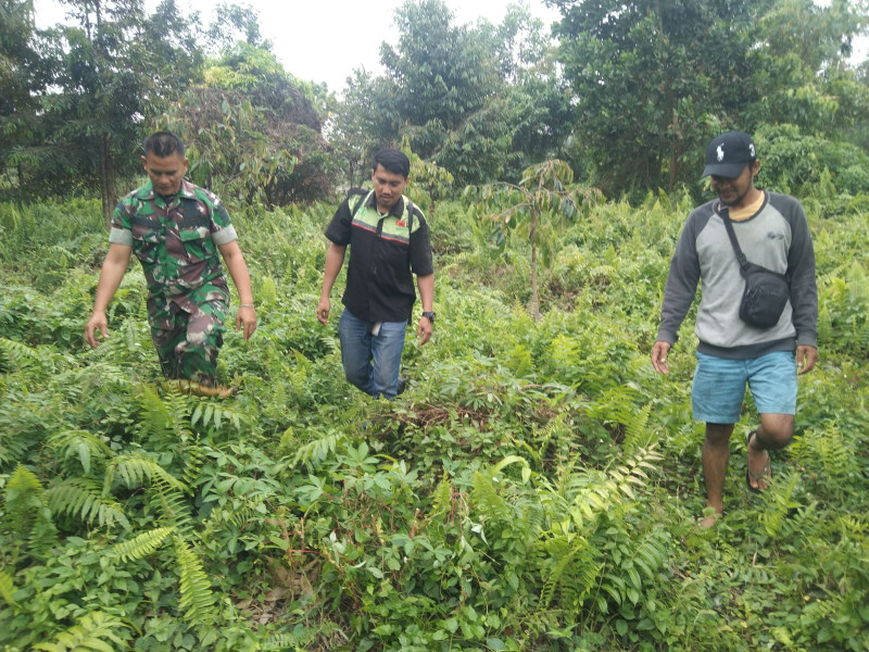 Babinsa Koramil 04/Perawang Patroli Pencegahan Karhutla, Situasi Aman di Perawang Barat