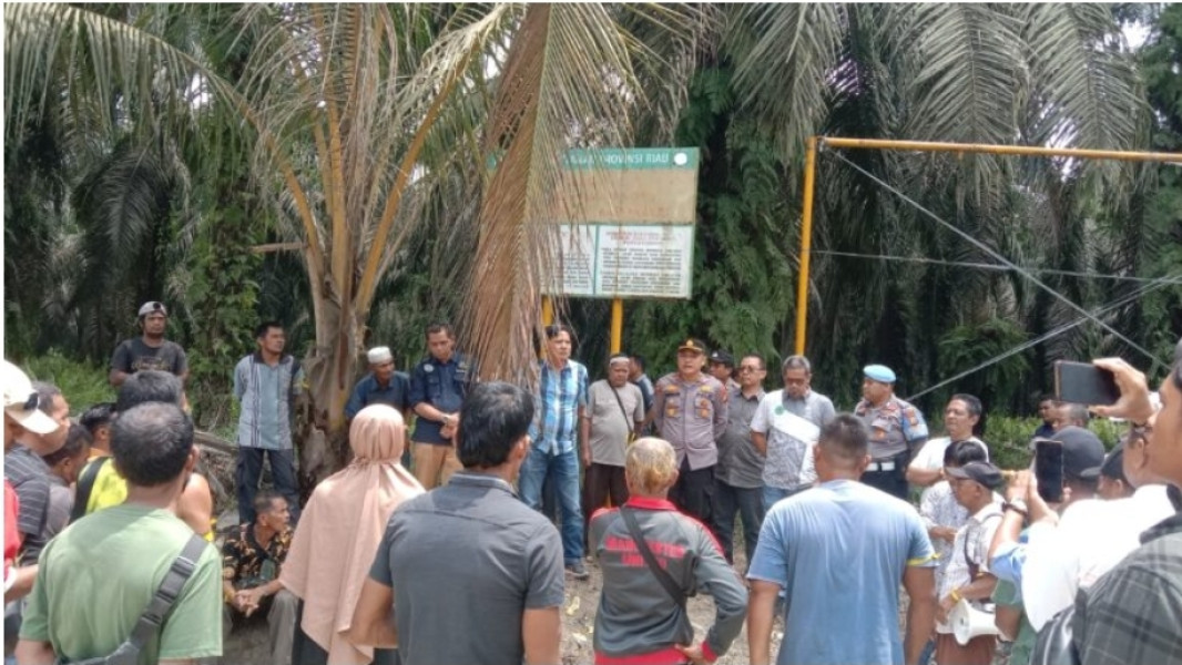 Sejumlah Warga Asli Melayu di Pangkalan Pisang Geruduk PT KTU di Koto Gasib, Ini Tuntutannya
