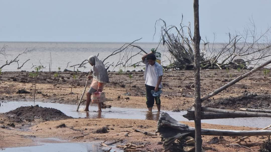 Refleksi Milad Ke-58 Kabupaten Indragiri Hilir :  Krisis Iklim Perparah Tingkat Kemiskinan