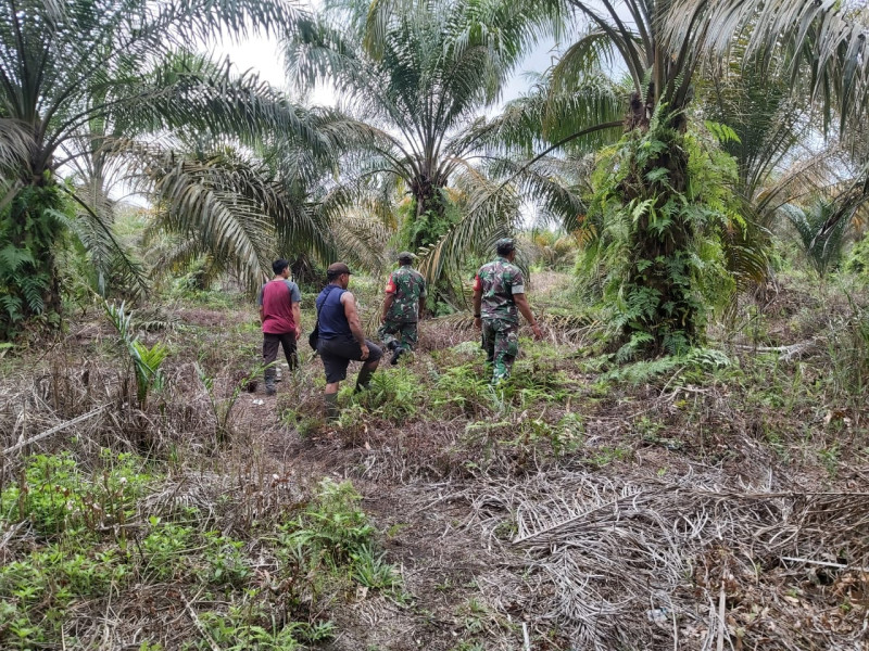 Patroli Karhutla di Kecamatan Tualang, Babinsa dan Masyarakat Bersinergi Jaga Wilayah Bebas Api