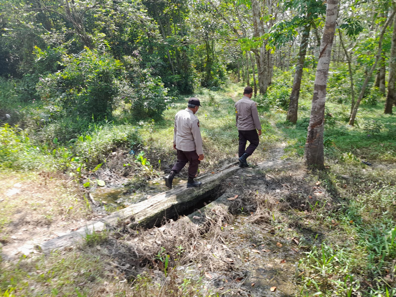 Pantau Lahan Belukar Desa Petani, Polsek Bunut Lakukan Patroli