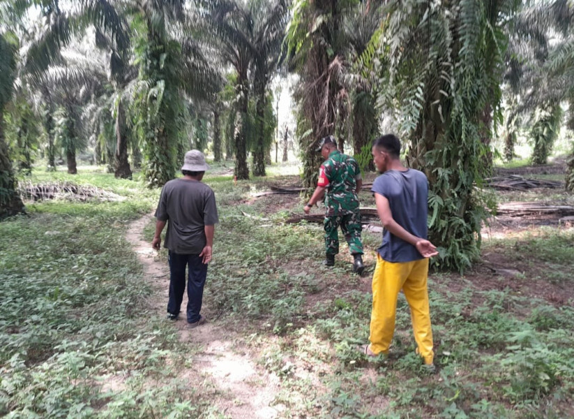 Siaga Karhutla, Babinsa Koramil 04/Perawang Intensifkan Patroli di Wilayah Rawan