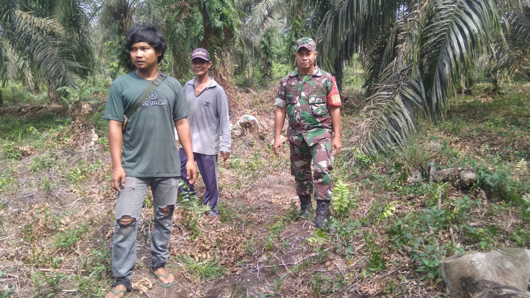 Babinsa Koramil 04/Perawang Sertu L Syahdanur Patroli Pencegahan Karhutla di Kampung Tualang