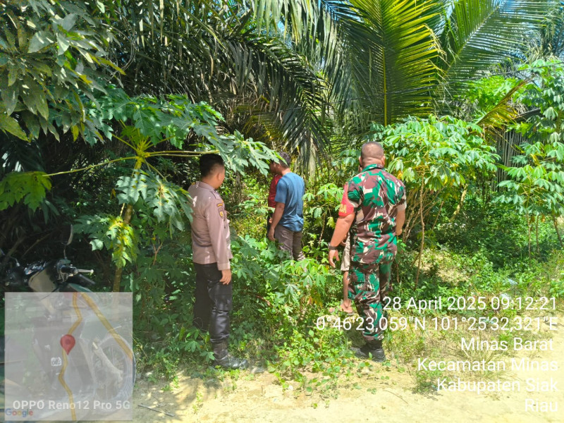 Sinergi TNI-Polri dan Masyarakat Terus Digalakkan dalam Pencegahan Karhutla di Minas Barat