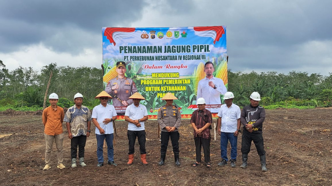 Kolaborasi BUMN dan Kepolisian, PTPN IV Tanam Jagung Pipil untuk Ketahanan Pangan