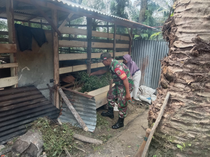 Antisipasi Penyebaran PMK di Kampung Rantau Bertuah, Serda Sugiarto Lakukan Sosialisasi Kepada Pemilik Ternak Sapi