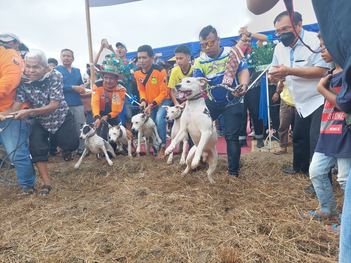 Peringati HUT Bhayangkara ke 76, Porbi Riau Gelar Safari Berburu Babi di Desa Bukit Ranah