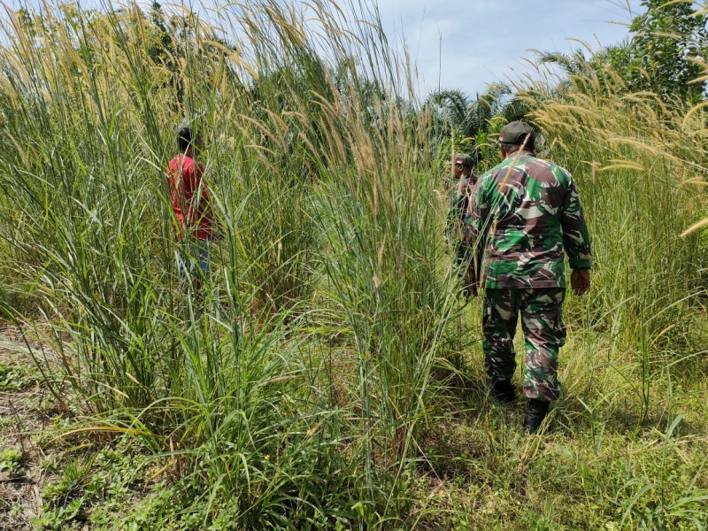 Babinsa Minas Jaya Serma Muhajir Dengan Tim Rutin Patroli Karlahut Bersama Warga Binaannya