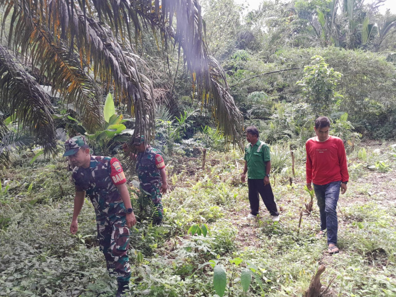 Babinsa Koramil 04/Perawang, Rutin Ajak Warga Binaan Giat Penanggulangan Karhutla Dengan Berpatroli