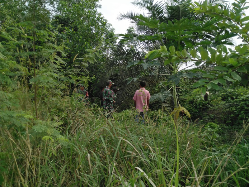 Babinsa Koramil 03/Mina Ajak Warga Binaan di Kampung Sungai Selodang Giat Penanggulangan Karhutla & Berpatroli