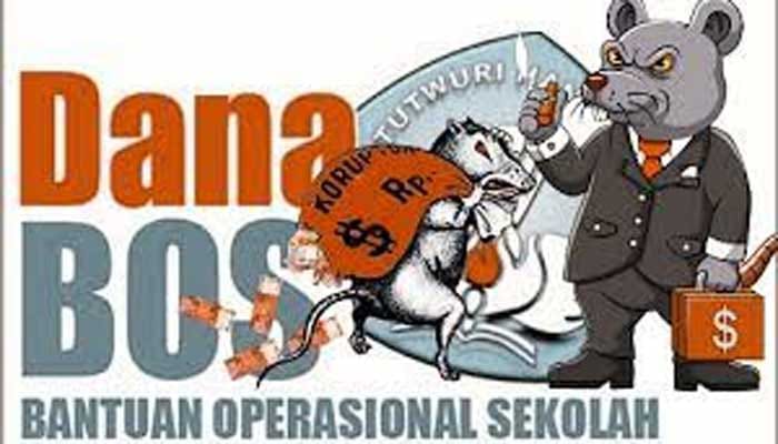 LSM Anti Korupsi Soroti Dugaan Korupsi Dana BOS, Kepala Sekolah Zahar Dipertanyakan!